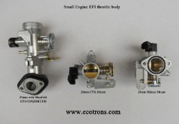 Throttle Body and Intake Manifold
